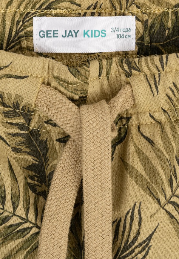 фото Шорты gloria jeans