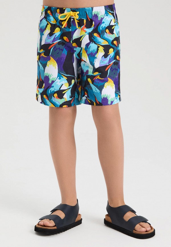 фото Шорты для плавания norveg