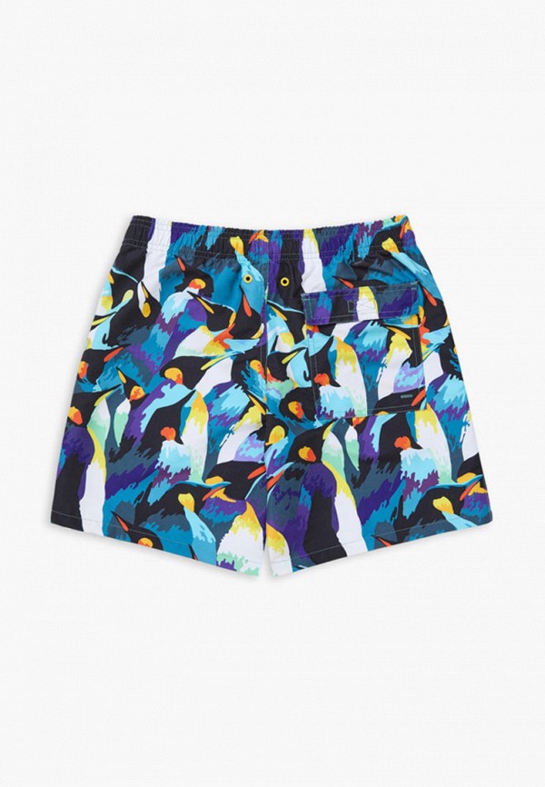 фото Шорты для плавания norveg