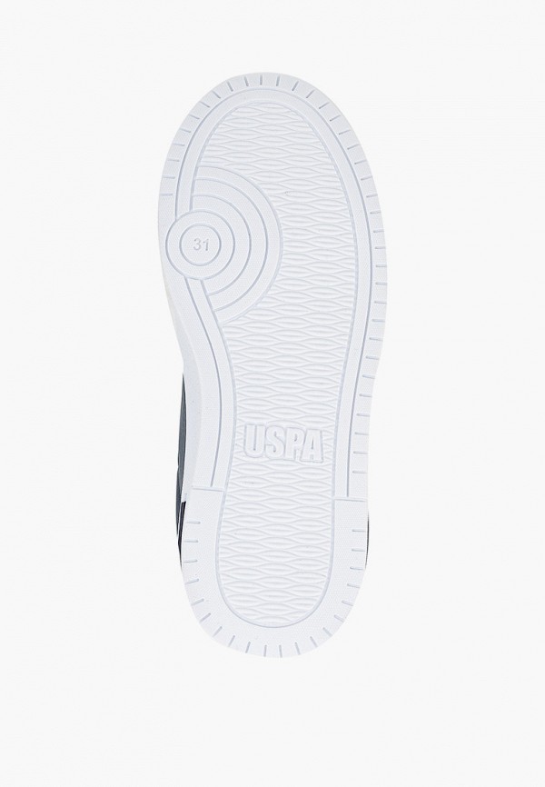 фото Кеды u.s. polo assn.