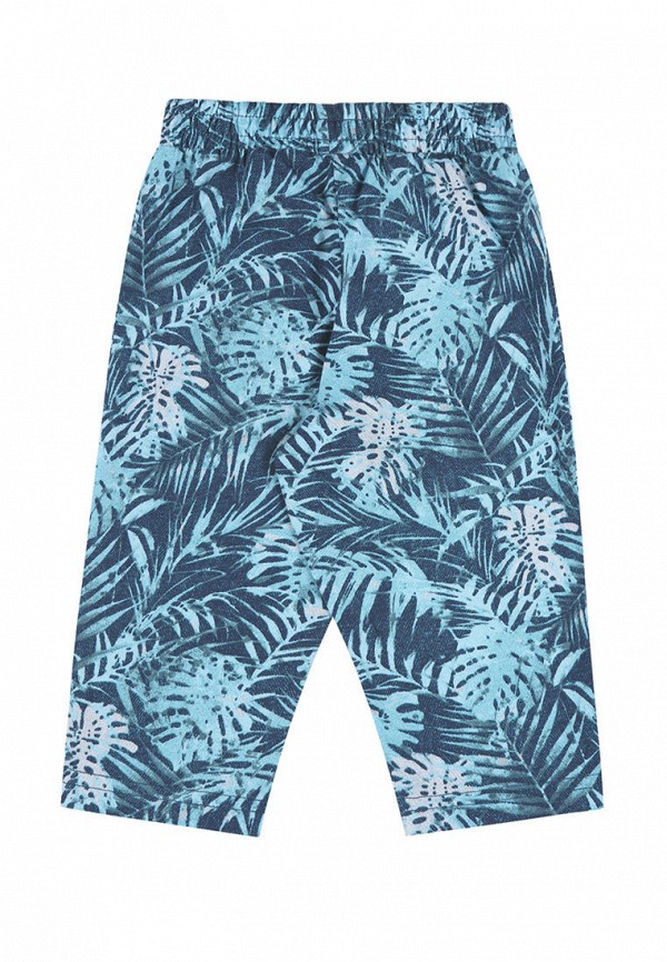 фото Бриджи апрель