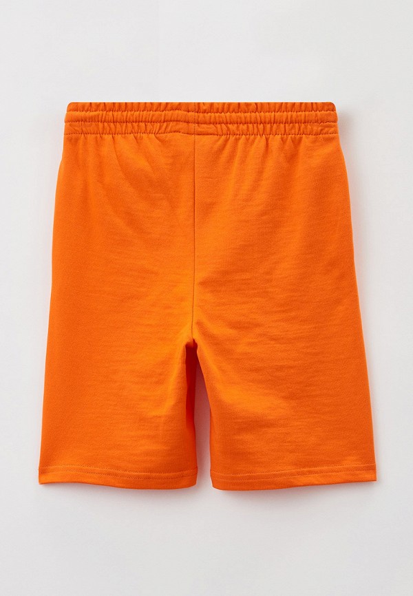 фото Шорты спортивные modis