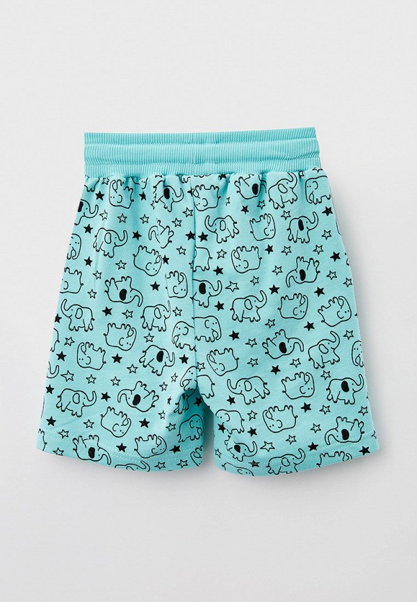 фото Шорты спортивные elementarno