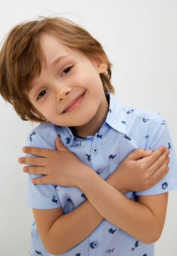 Рубашка Acoola голубой, размер 110, фото 7