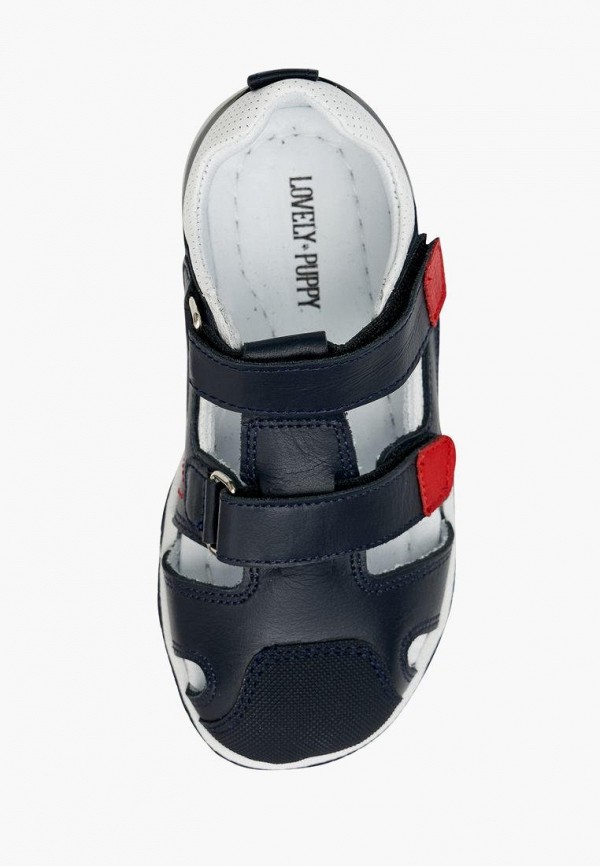 фото Сандалии lovely puppy