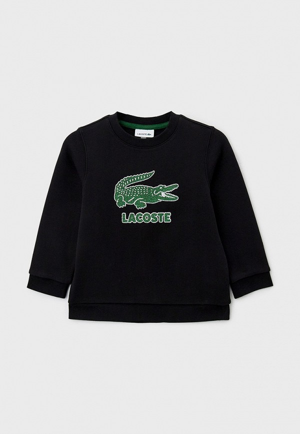 Свитшот Lacoste