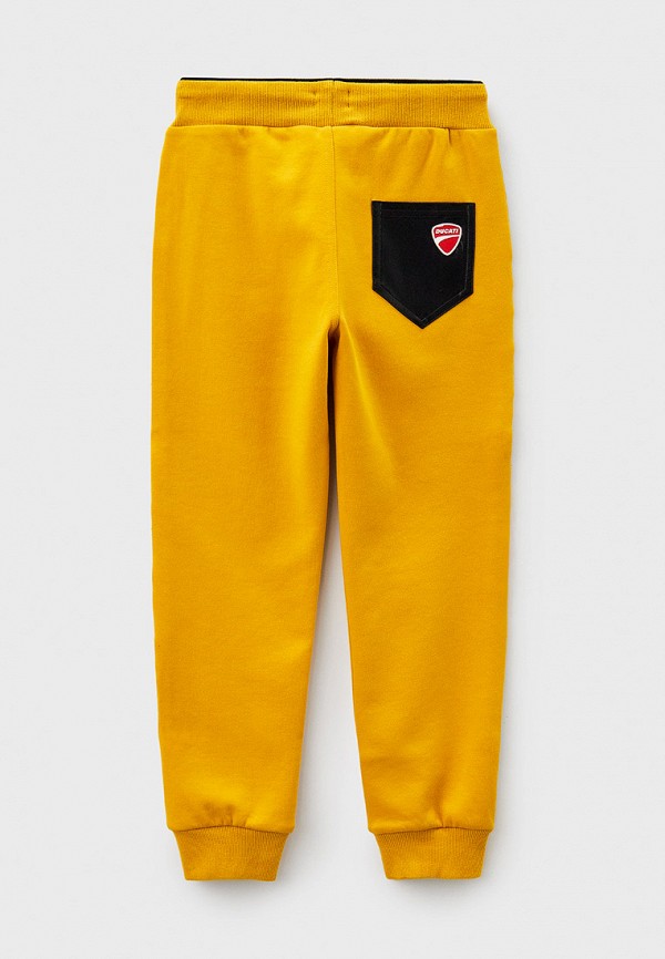 фото Брюки спортивные sarabanda