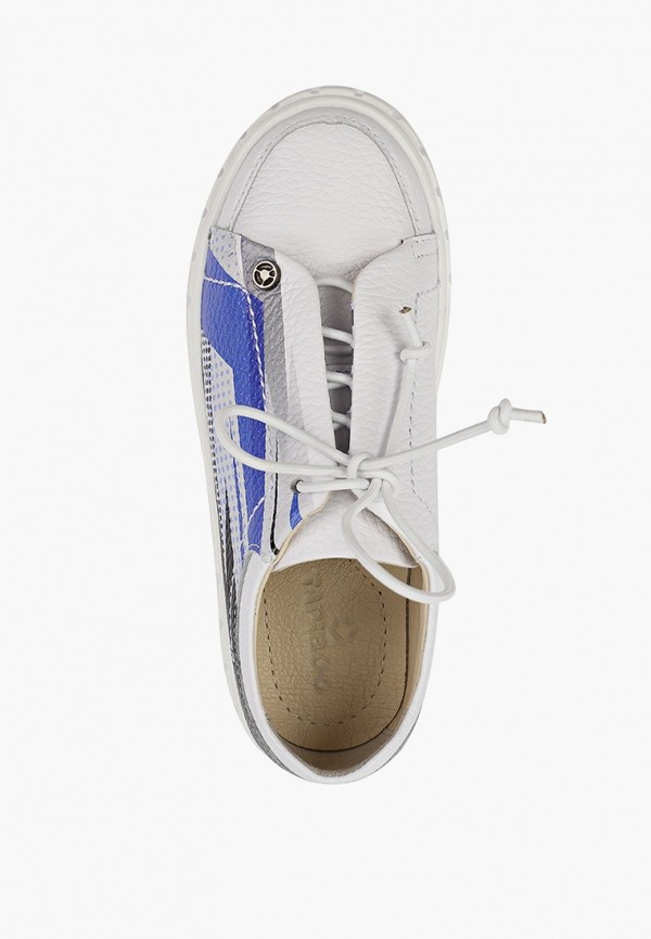 фото Кеды tapiboo