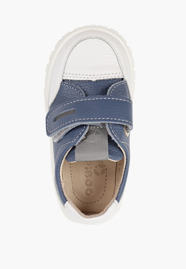 фото Кеды tapiboo