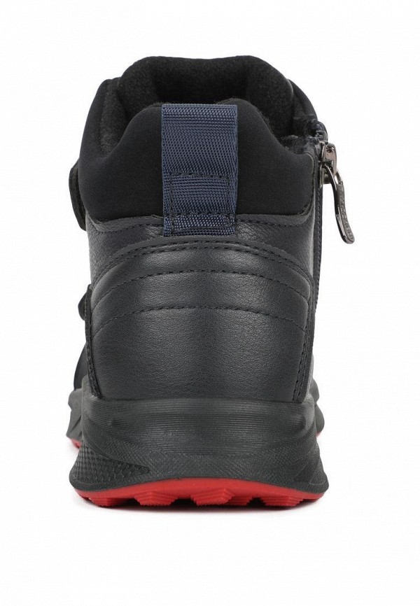 фото Ботинки t.taccardi