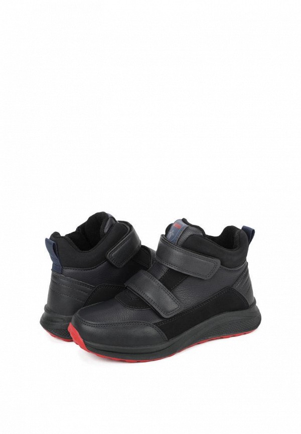 фото Ботинки t.taccardi