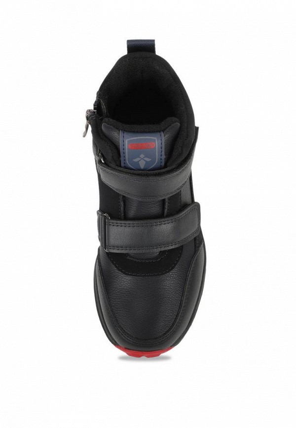 фото Ботинки t.taccardi