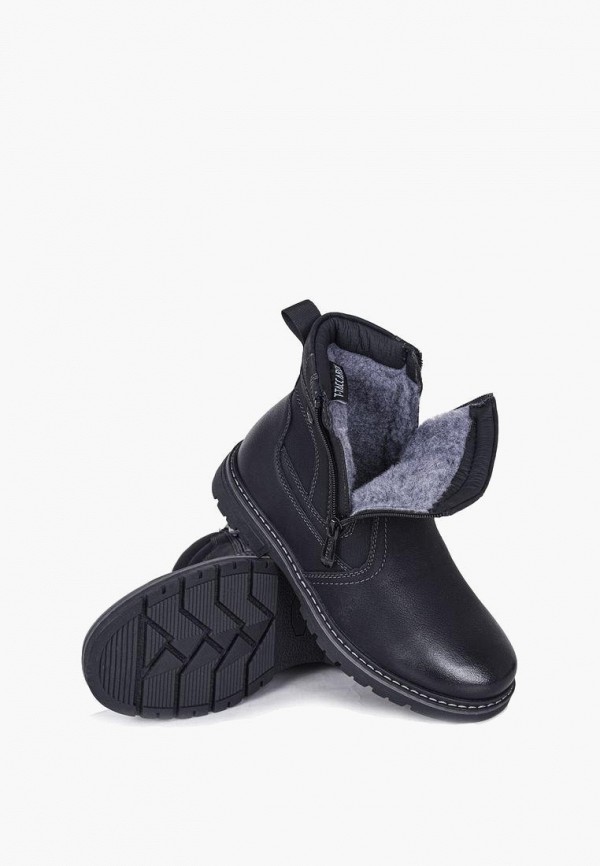 фото Сапоги t.taccardi