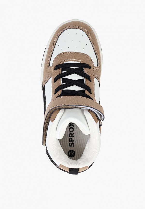 фото Кеды sprox