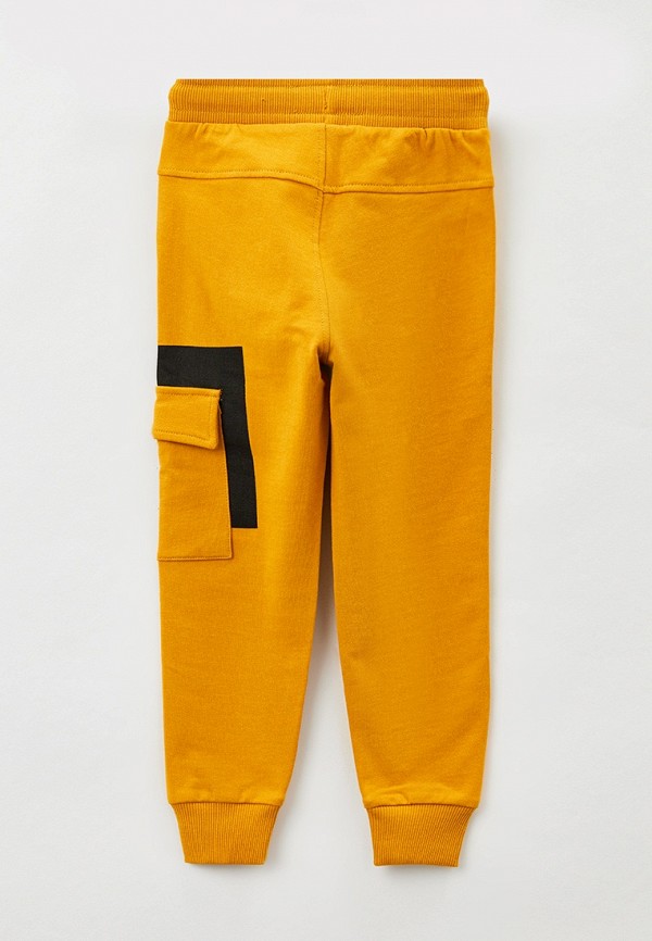 фото Брюки спортивные coccodrillo