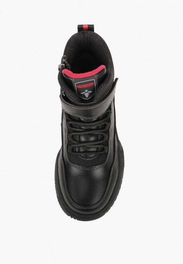 фото Ботинки t.taccardi