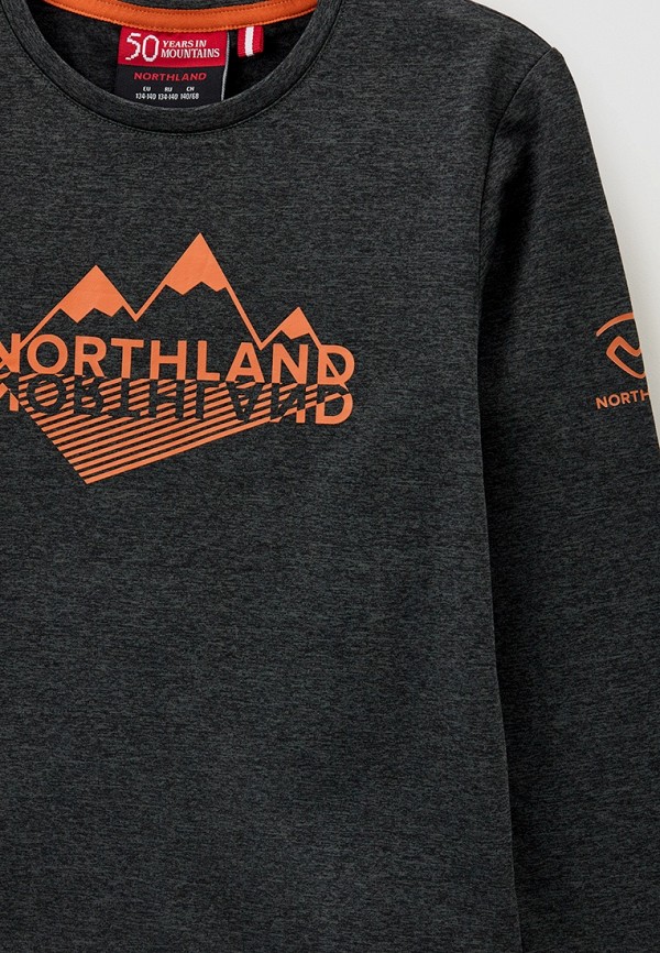 фото Лонгслив спортивный northland