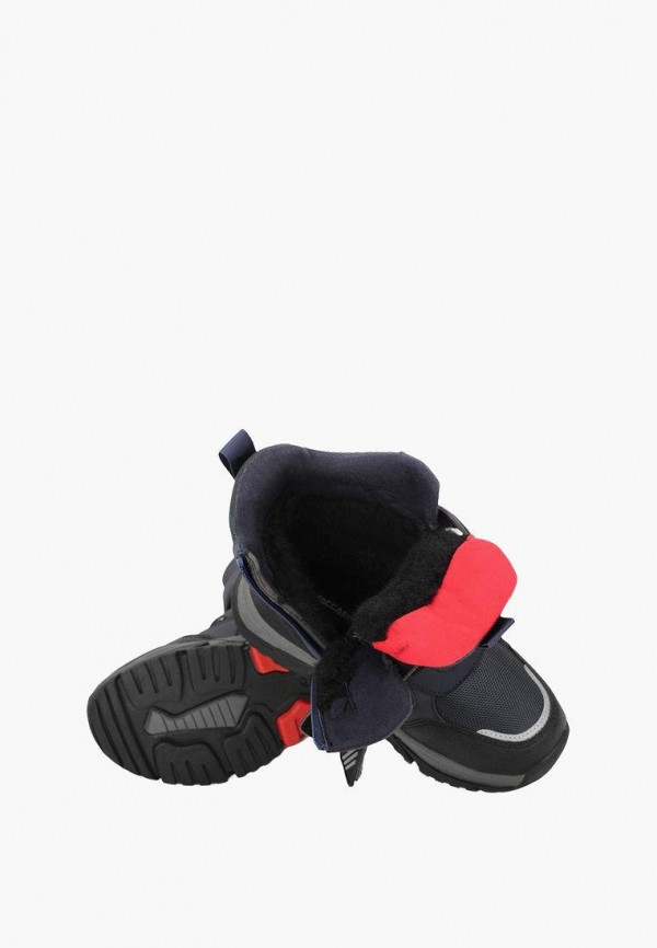 фото Ботинки t.taccardi