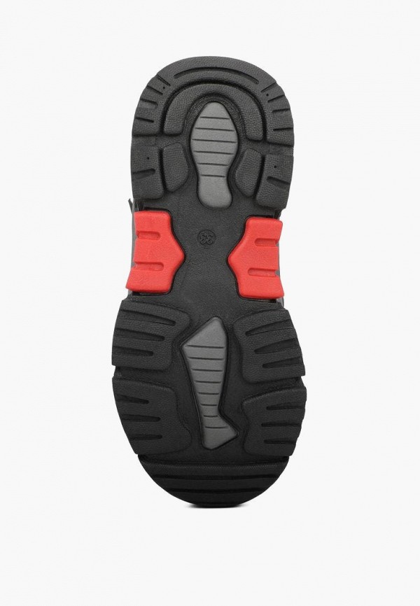 фото Ботинки t.taccardi