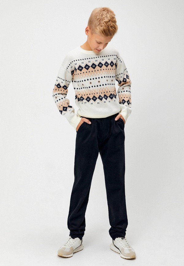 Брюки Acoola синий, размер 170, фото 8