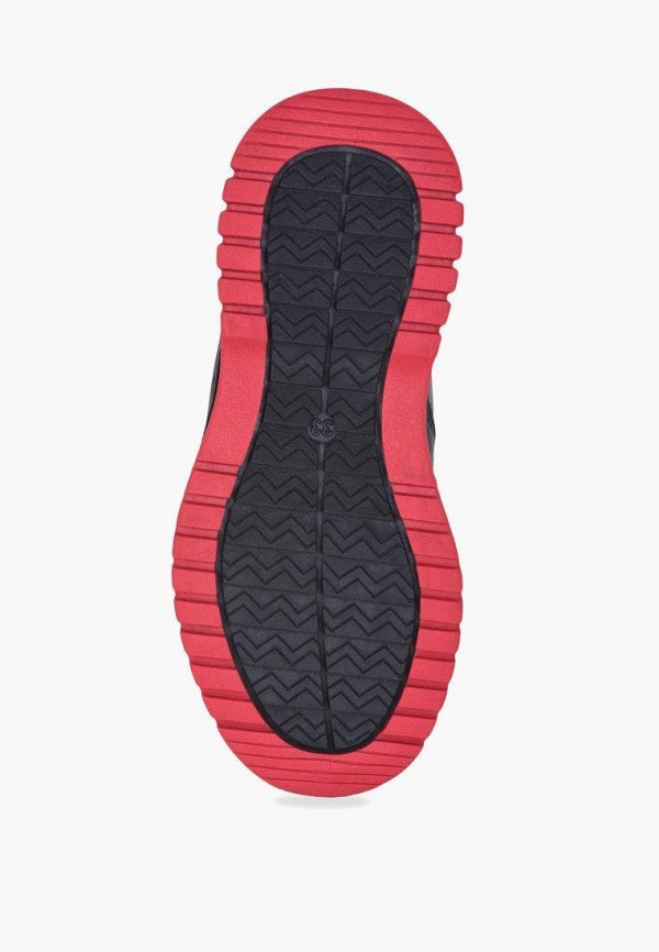 фото Ботинки t.taccardi