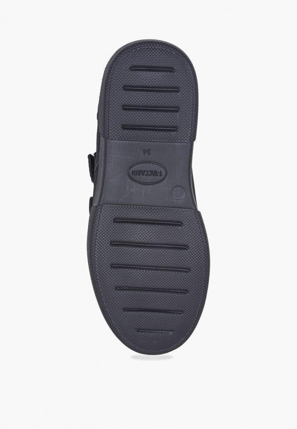 фото Кеды t.taccardi