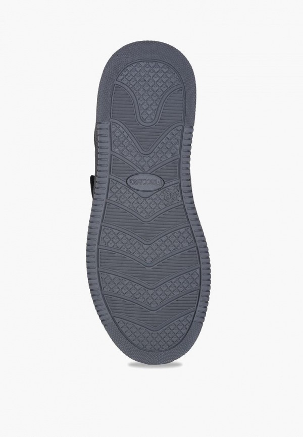 фото Кеды t.taccardi