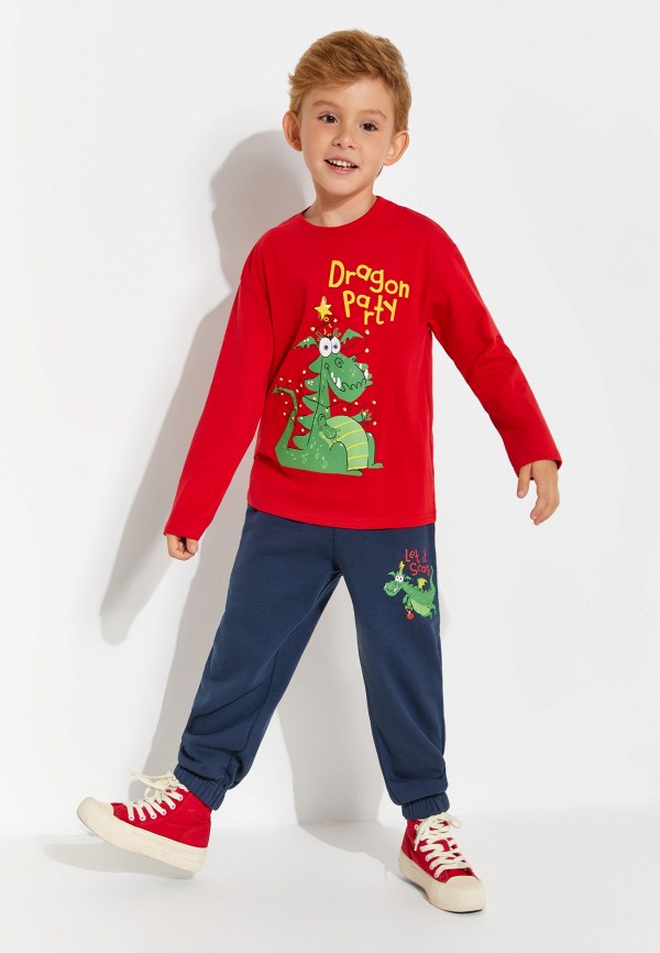 фото Брюки спортивные acoola