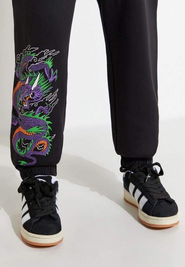 фото Брюки спортивные acoola