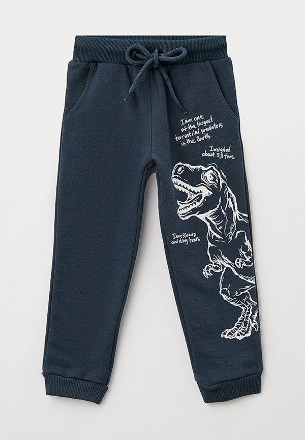 фото Брюки спортивные funday