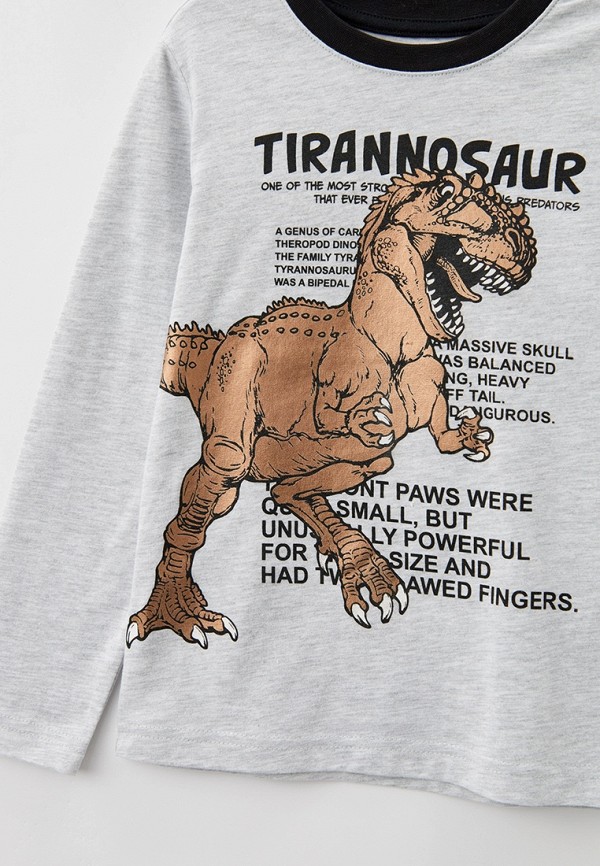 фото Лонгслив funday