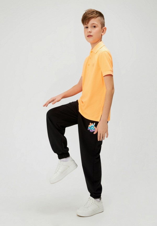 фото Брюки спортивные acoola