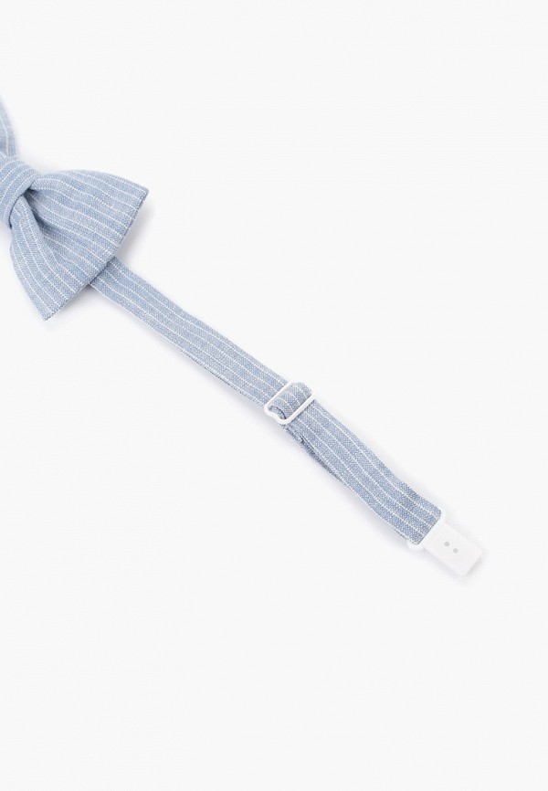 фото Бабочка choupette