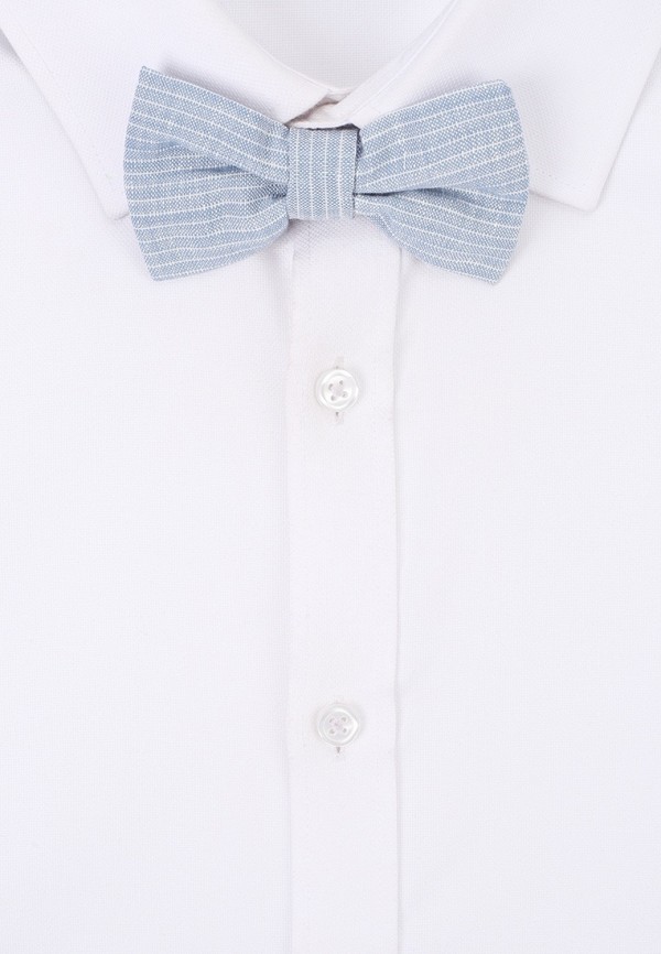 фото Бабочка choupette