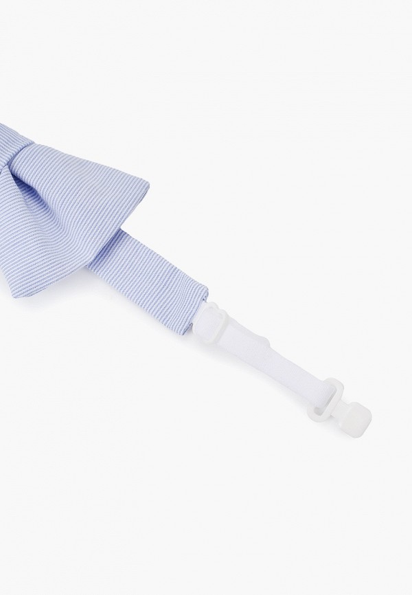 фото Бабочка choupette