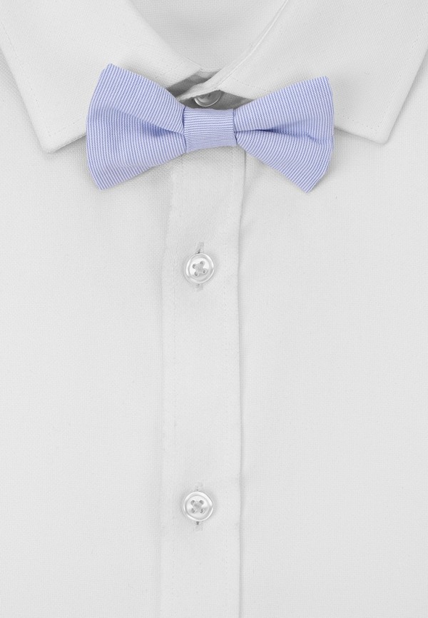 фото Бабочка choupette