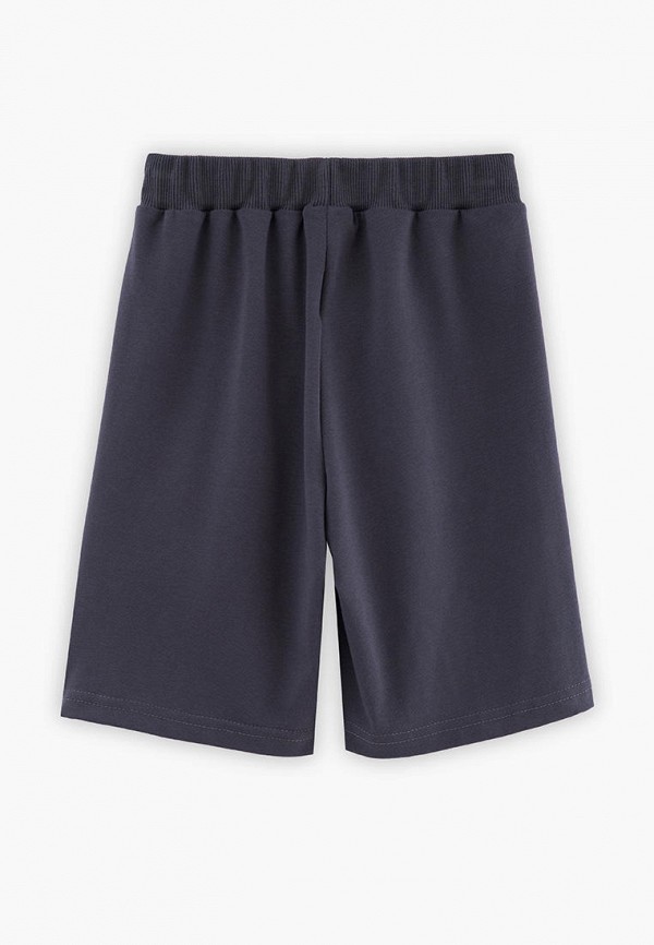 фото Шорты спортивные bell bimbo