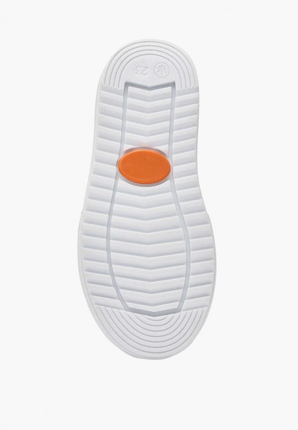 фото Кеды lovely puppy