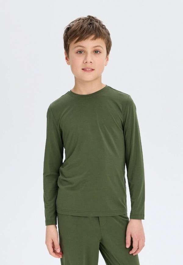 Лонгслив домашний Norveg 2213₽