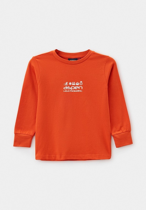 Лонгслив Aspen Polo Club 2754₽