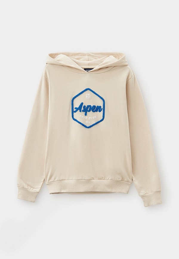 Худи Aspen Polo Club 3395₽
