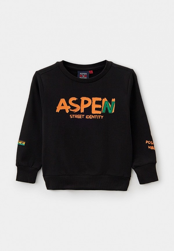 Свитшот Aspen Polo Club 3954₽