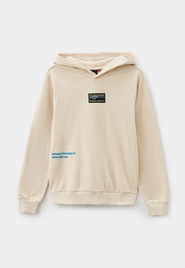 Худи Aspen Polo Club 3990₽