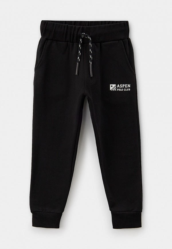 Брюки спортивные Aspen Polo Club