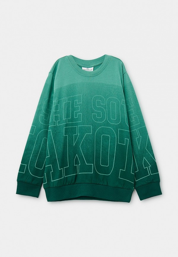 Свитшот Coccodrillo 2840₽