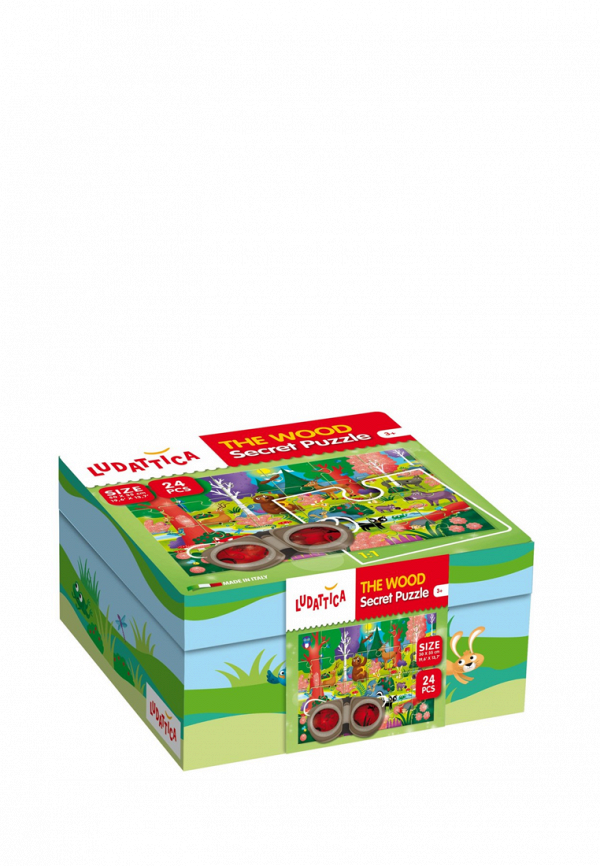 

Игра настольная Ludattica, Разноцветный