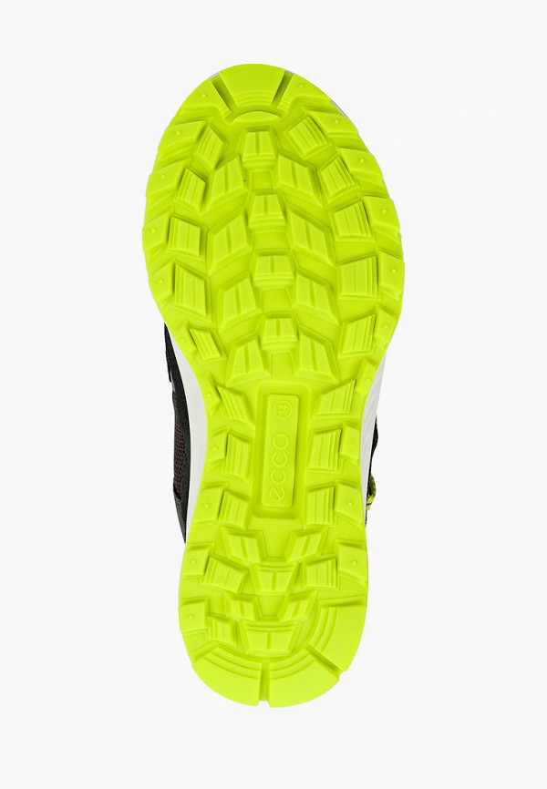 фото Ботинки ecco