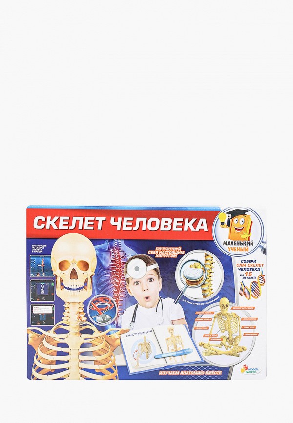 

Набор для опытов Играем Вместе, Разноцветный, Скелет человека