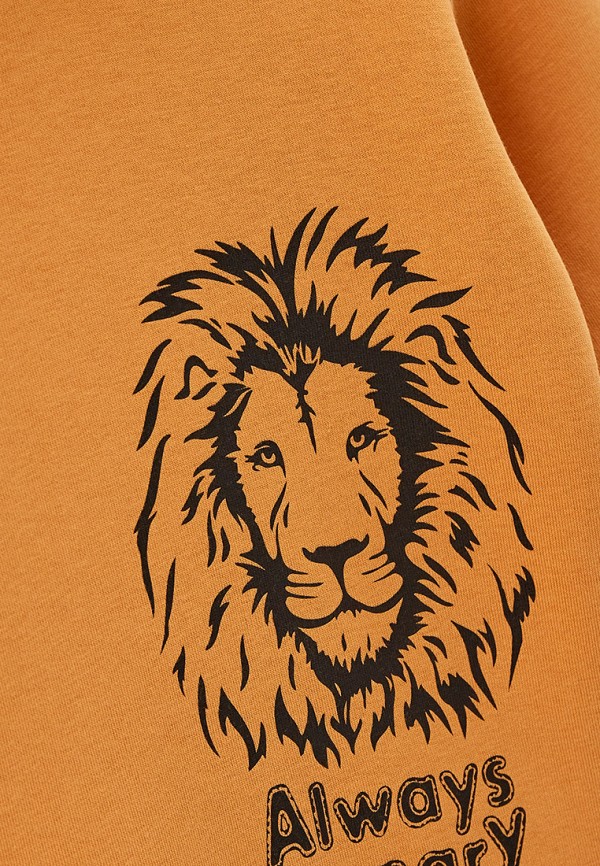 фото Худи leo