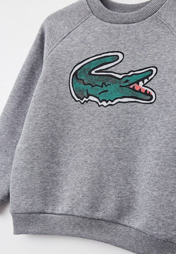 

Свитшот Lacoste, Серый